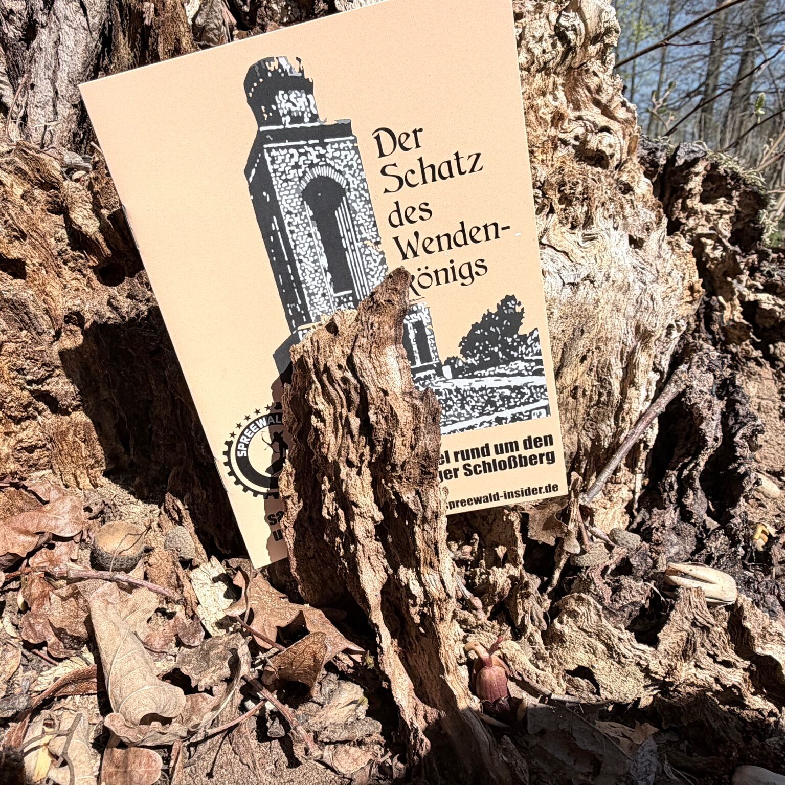 Entdeckertouren Spreewald Wendenkönig Spiel Cover